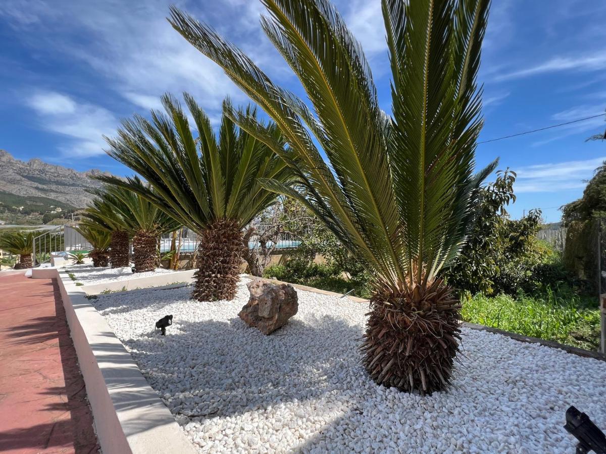 Casa Rural Altaret Callosa de Ensarriá Екстериор снимка