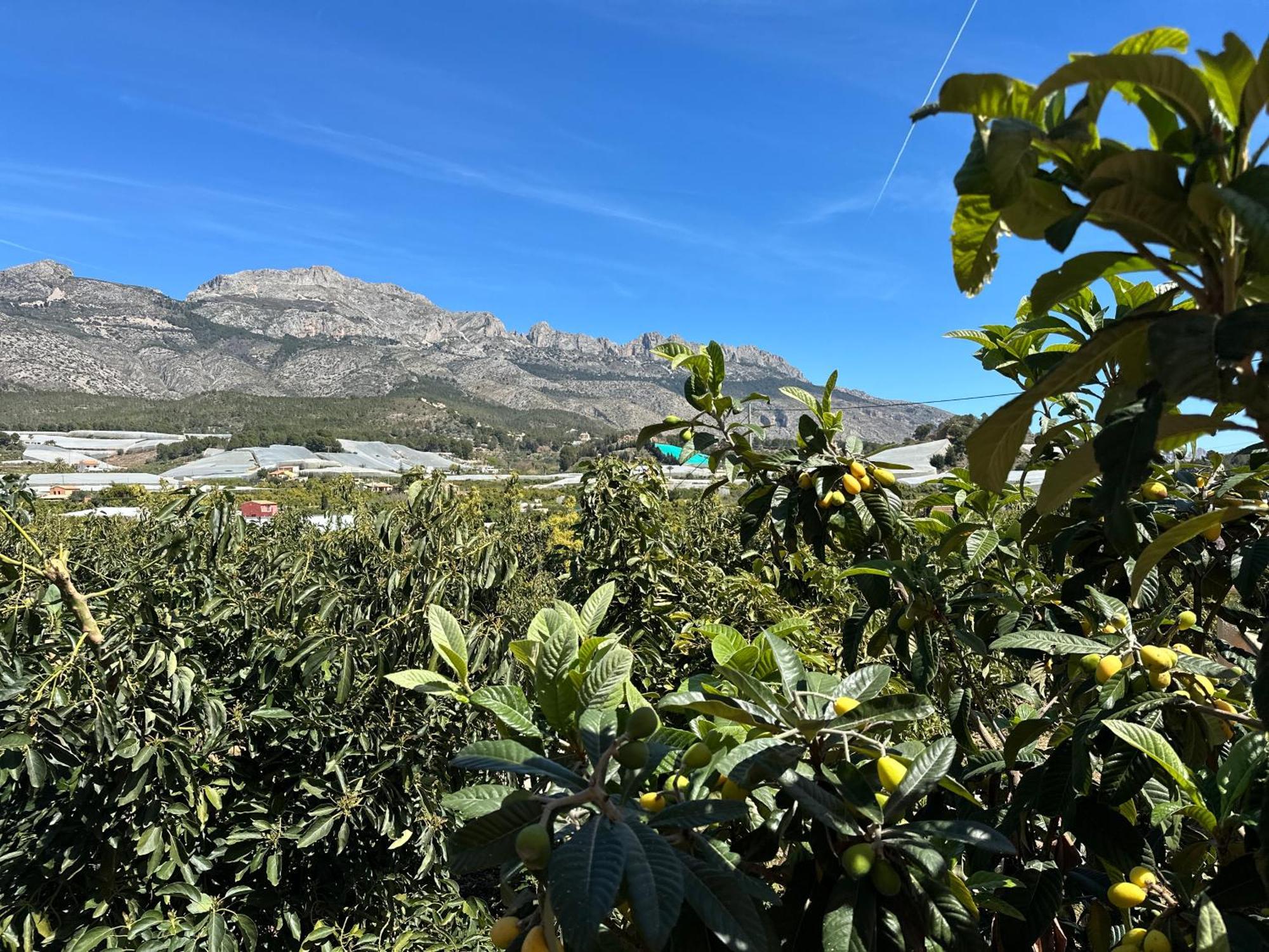 Casa Rural Altaret Callosa de Ensarriá Екстериор снимка